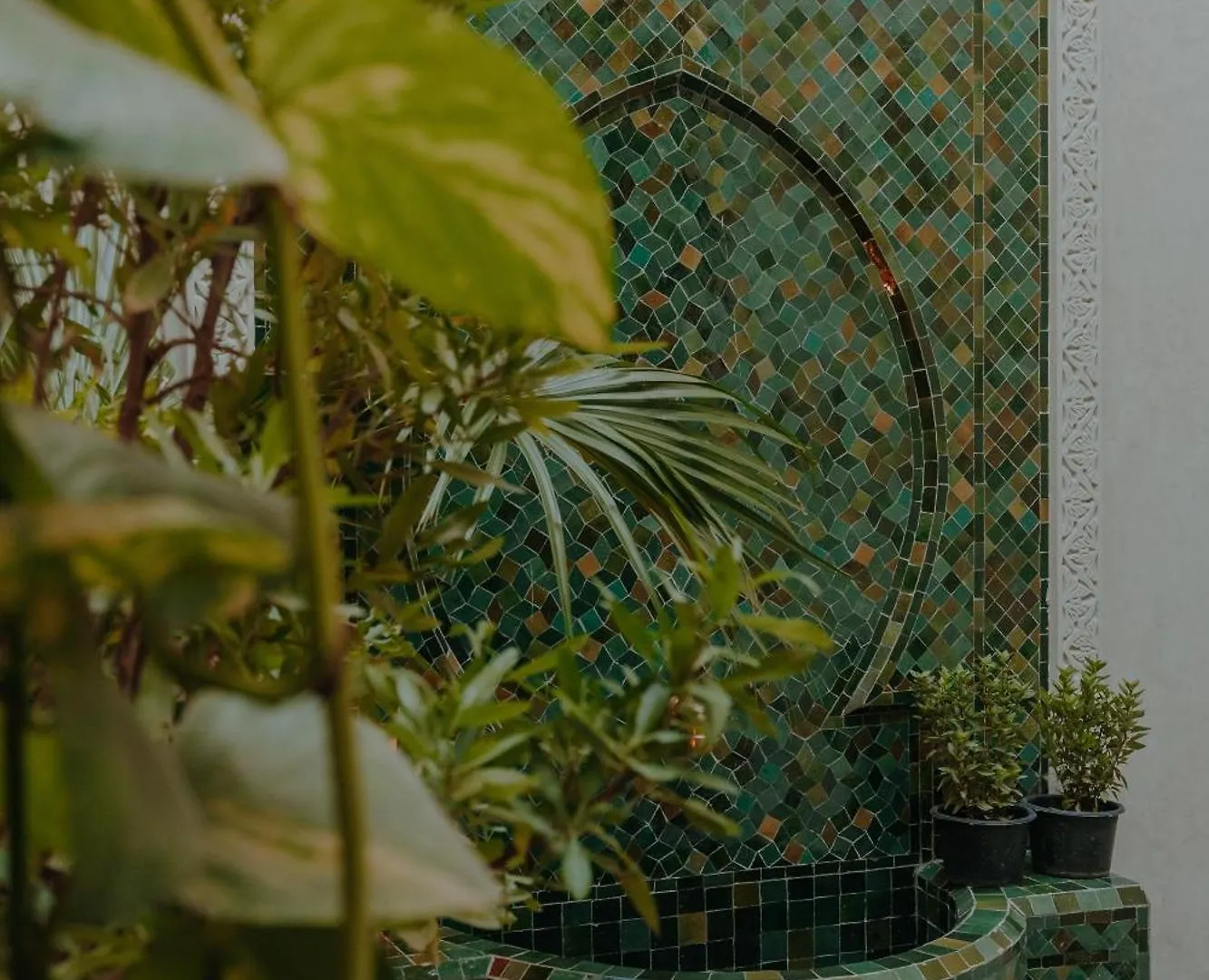 Le Petit Kenzara & Magical Rooftop Marrakesh